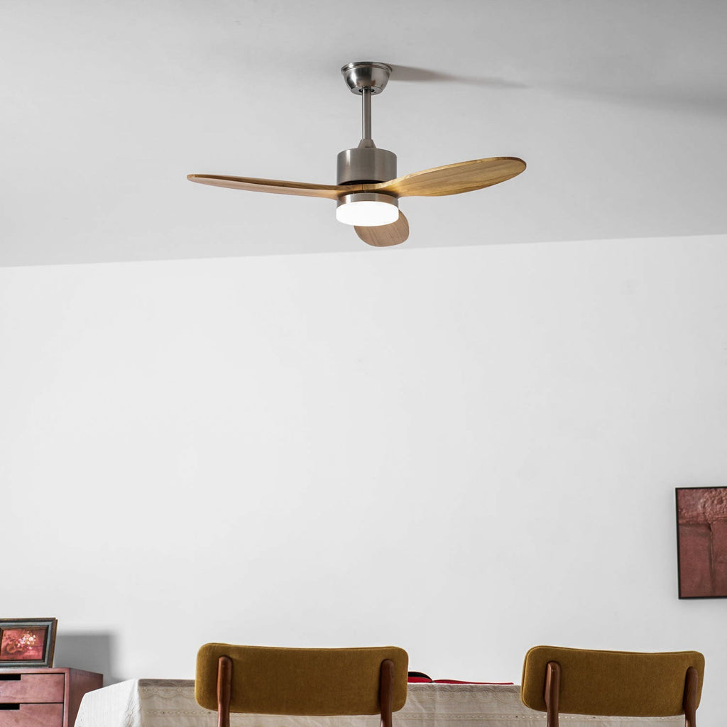 Lampa z wentylatorem sufitowym Rozoma